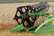 The combine gathers wheat crop