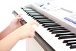 hands and keyboard