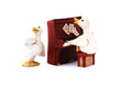 Singing and piano playing duck duo.