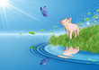 Pig and butterfly