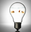 Goldfishes in Light bulb Goldfishes in Light bulb