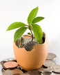 financial growth