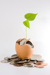 Financial Growth
