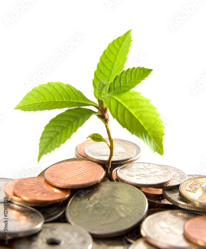 Photo: financial growth financial growth