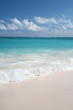 Tropical Paradise - White Sand Beach and Ocean Background