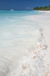 Tropical Sand Beach, Caribbean Ocean and Coconut Palm Trees