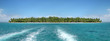 Paradise: Tropical Island with Palm Trees in Caribbean Ocean