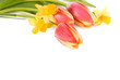 bouquet of the spring flower