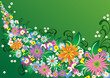 Flower background Flower background