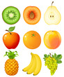 Vector: fruits fruits