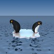 Fun penguins