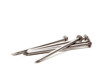 Nails Isolated Nails Isolated