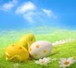 Easter Eggs Easter Eggs
