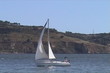 Boat sailing in sea Boat sailing in sea
