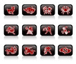 the zodiac/ fortune telling the zodiac/ fortune telling