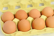 Eier