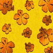 Tiger Flowers - Background - Hibiscus