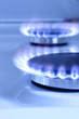 Gas stove
