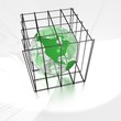 earth in a cage