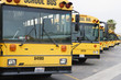 School Busses Parked in Parking Lot