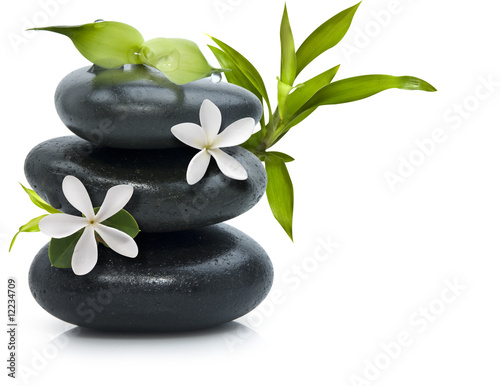 Spa still life with white flowers