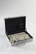 Briefcase Full of Money
