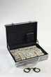 Briefcase Full of Money
