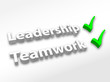 "Leadership & Teamwork" (3D)