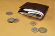 Wallet Full of Money