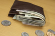 Wallet Full of Money
