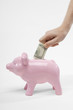 Hand Putting Money in Piggy Bank