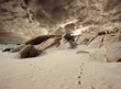 desert