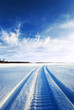 tracks in snow