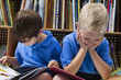 Little Boys Reading Picture Books