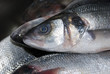 Pile of fresh fish, close-up