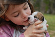 l'enfant et le chiot l'enfant et le chiot