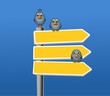birds with arrows
