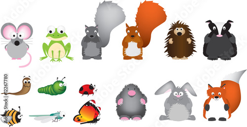 Uk british wildlife set