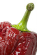 Ancho chili also known as Poblano and Pasilla.