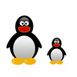 Illustration of two penguins on white background