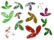 Autumn leaves - Vector elements