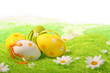 Colorful Easter Eggs Colorful Easter Eggs