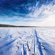 winter landscape