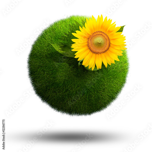 Illustration: Grass planet with beautiful sunflower growing on it Grass planet with beautiful sunflower growing on it