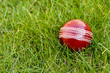 cricket ball on grass cricket ball on grass