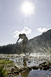 Mountainbiker im Gegenlicht