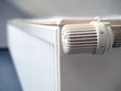 Photo en ligne au meilleur prix Heizk�rper mit Thermostat