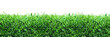 Spring, green grass background Spring, green grass background