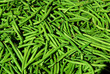 Foto: haricots haricots