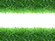 Spring, green grass background Spring, green grass background